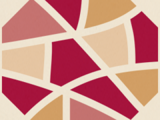 ACCESS logo graphic